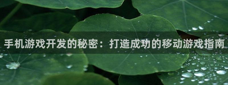 沐鸣2登陆：手机游戏开发的秘密：打造成功的移动游戏指南