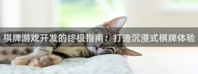 沐鸣2注册丘27337：棋牌游戏开发的终极指南：打造沉浸式棋牌体验