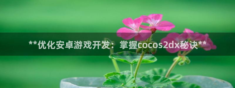 沐鸣2开户地址