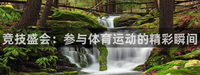 球客岛：竞技盛会：参与体育运动的精彩瞬间