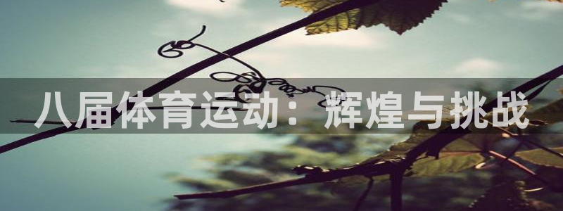 球客岛：八届体育运动：辉煌与挑战
