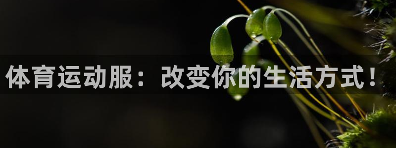 球客岛：体育运动服：改变你的生活方式！