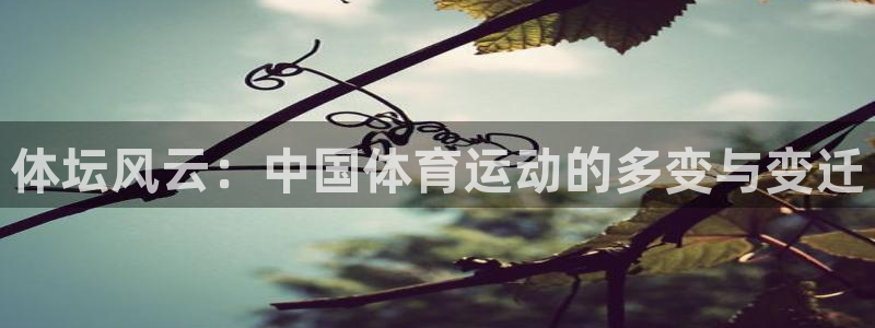 球客岛：体坛风云：中国体育运动的多变与变迁