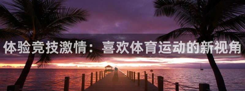 球客岛：体验竞技激情：喜欢体育运动的新视角