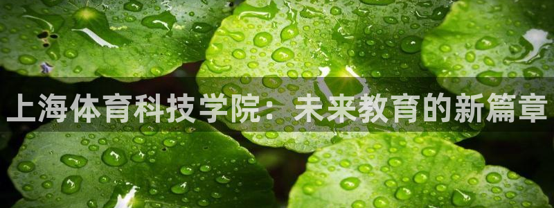 球客岛：上海体育科技学院：未来教育的新篇章