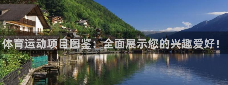 球客岛：体育运动项目图鉴：全面展示您的兴趣爱好！