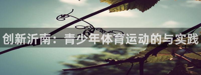 球客岛：创新沂南：青少年体育运动的与实践