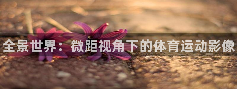 球客岛：全景世界：微距视角下的体育运动影像