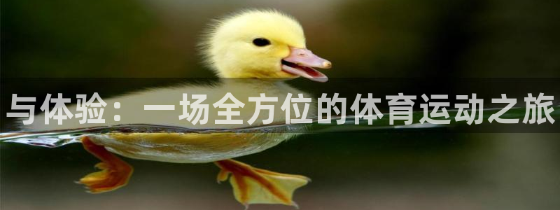 球客岛