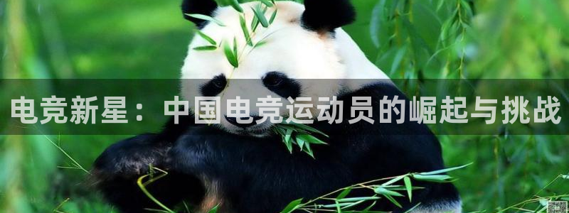 球客岛：电竞新星：中国电竞运动员的崛起与挑战