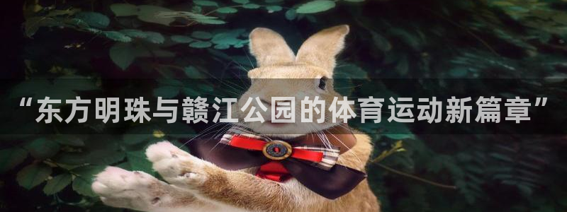 球客岛：“东方明珠与赣江公园的体育运动新篇章”