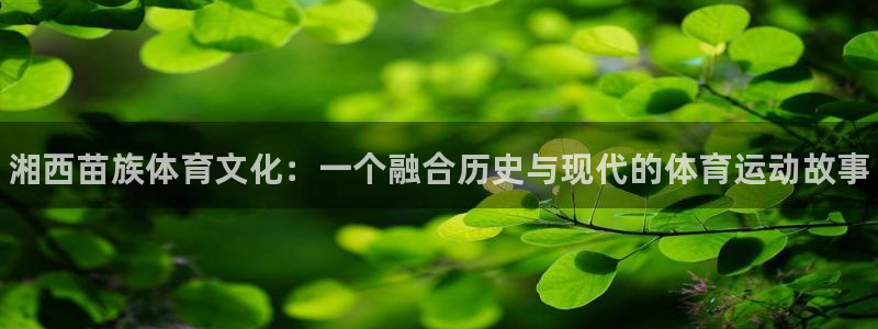 球客岛：湘西苗族体育文化：一个融合历史与现代的体育运动故事