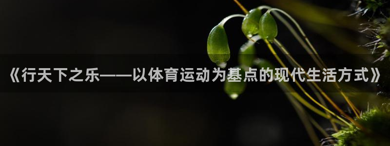 球客岛：《行天下之乐——以体育运动为基点的现代生活方式》