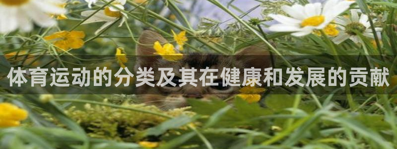 球客岛：体育运动的分类及其在健康和发展的贡献