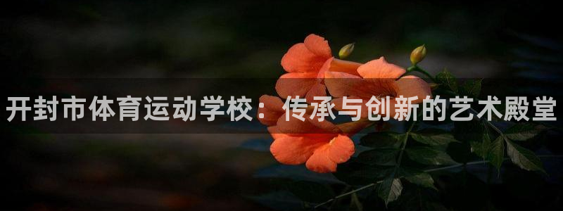 球客岛：开封市体育运动学校：传承与创新的艺术殿堂