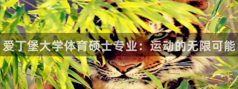 球客岛：爱丁堡大学体育硕士专业：运动的无限可能