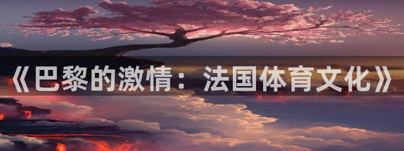 球客岛：《巴黎的激情：法国体育文化》
