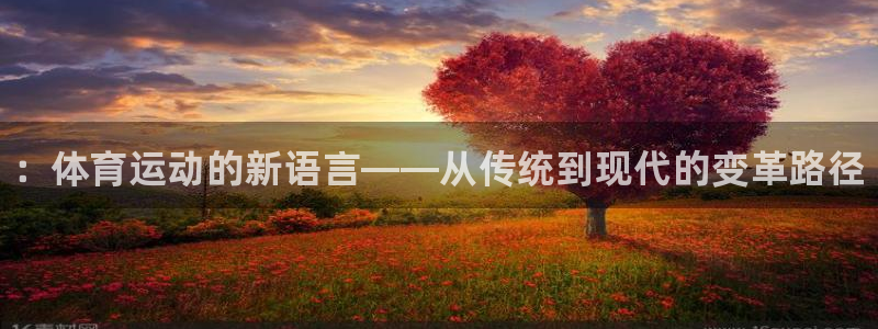 球客岛：：体育运动的新语言——从传统到现代的变革路径