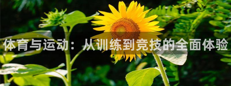 球客岛：体育与运动：从训练到竞技的全面体验