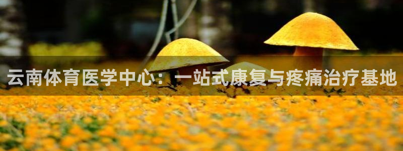 球客岛：云南体育医学中心：一站式康复与疼痛治疗基地