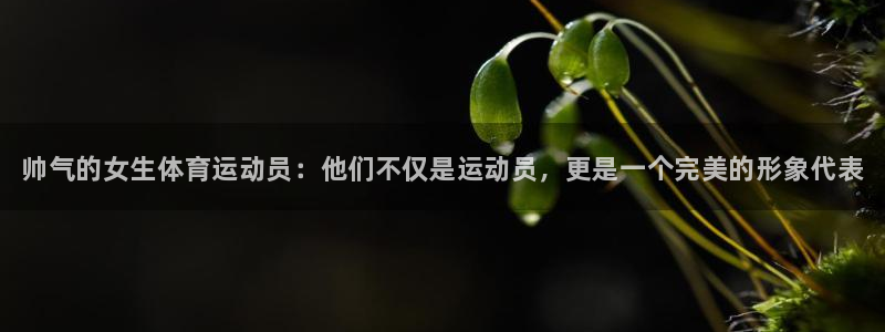 球客岛：帅气的女生体育运动员：他们不仅是运动员，更是一个完美的形象代表