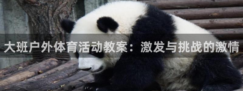 球客岛：大班户外体育活动教案：激发与挑战的激情