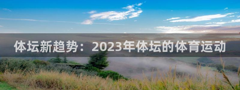 球客岛：体坛新趋势：2023年体坛的体育运动