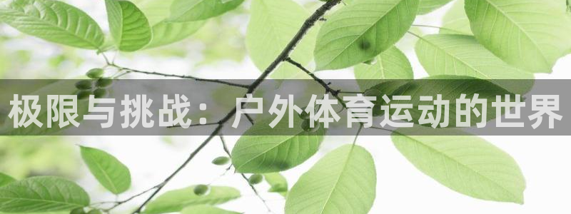 球客岛：极限与挑战：户外体育运动的世界