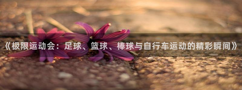 球客岛：《极限运动会：足球、篮球、棒球与自行车运动的精彩瞬间》