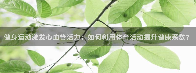 球客岛：健身运动激发心血管活力：如何利用体育活动提升健康系数？