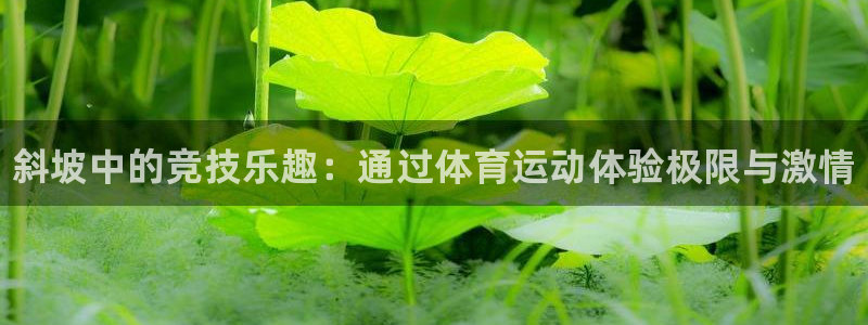 球客岛：斜坡中的竞技乐趣：通过体育运动体验极限与激情