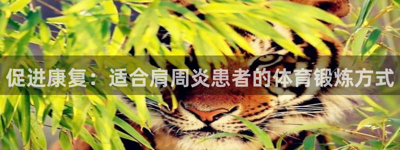 球客岛：促进康复：适合肩周炎患者的体育锻炼方式