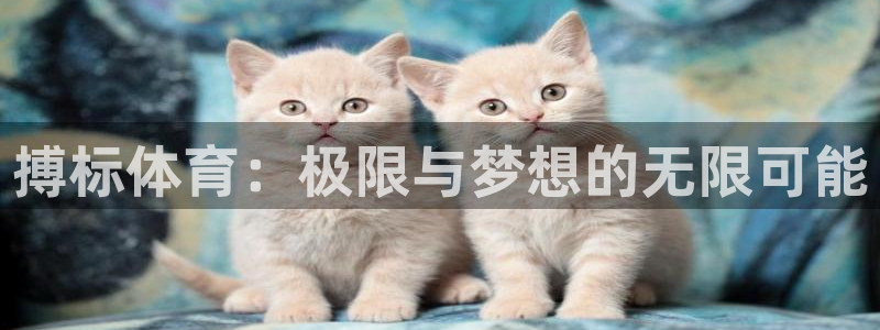 球客岛：搏标体育：极限与梦想的无限可能