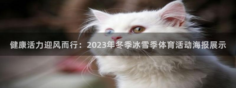 球客岛：健康活力迎风而行：2023年冬季冰雪季体育活动海报展示