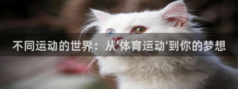 球客岛：不同运动的世界：从\'体育运动\'到你的梦想