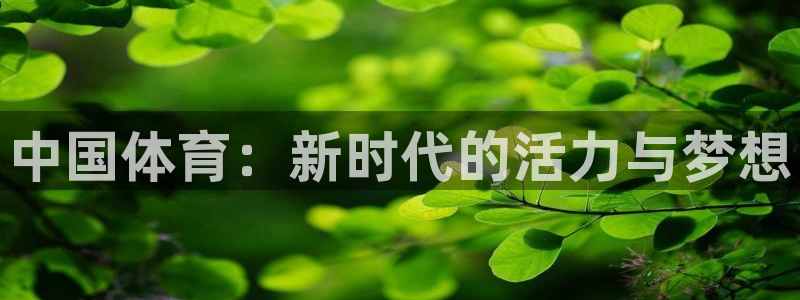 球客岛