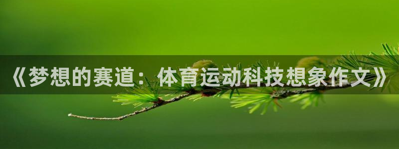 球客岛