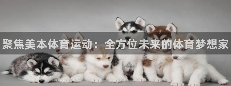 球客岛