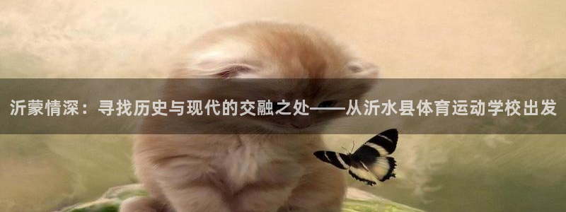 球客岛：沂蒙情深：寻找历史与现代的交融之处——从沂水县体育运动学校出发
