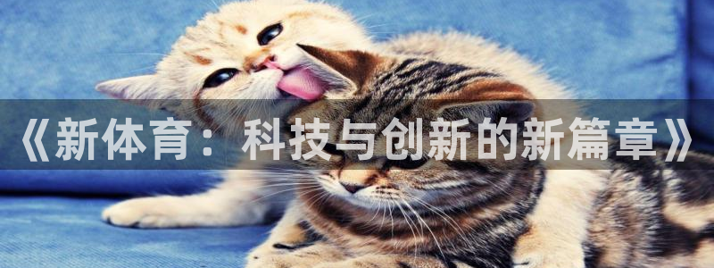 球客岛：《新体育：科技与创新的新篇章》