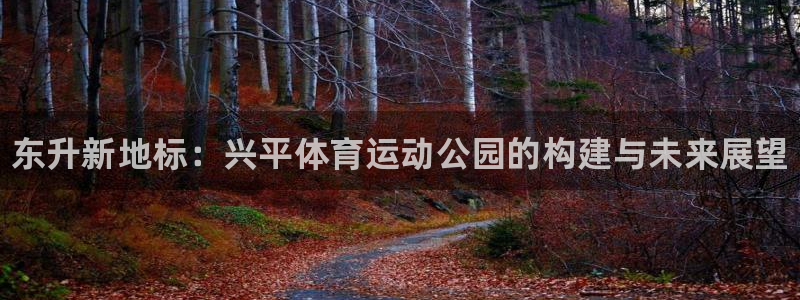 球客岛：东升新地标：兴平体育运动公园的构建与未来展望