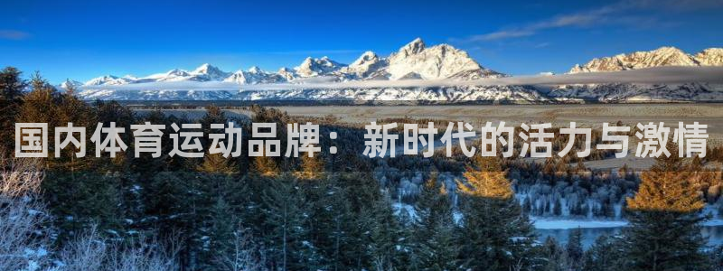 球客岛：国内体育运动品牌：新时代的活力与激情