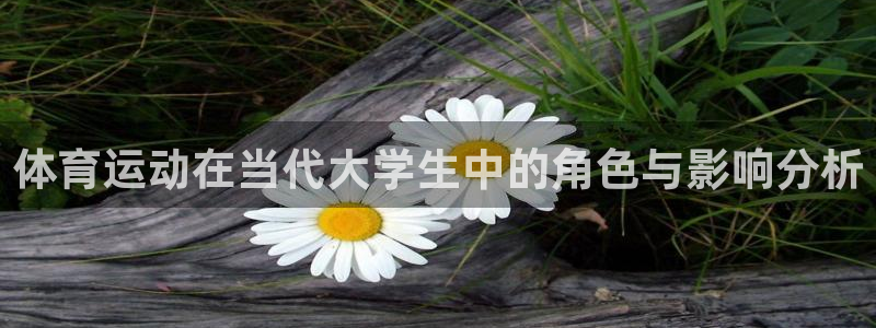 球客岛：体育运动在当代大学生中的角色与影响分析