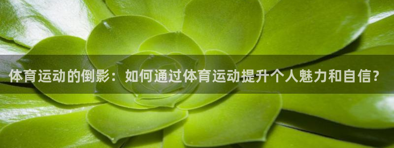 球客岛：体育运动的倒影：如何通过体育运动提升个人魅力和自信？